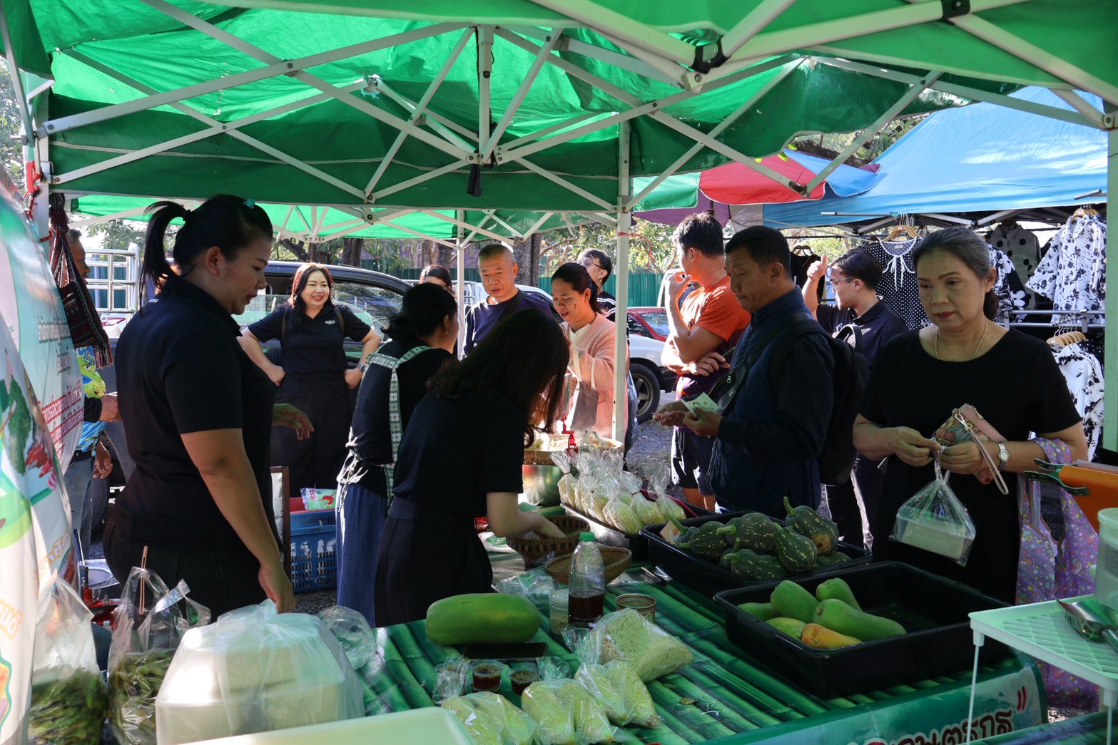 title - โครงการส่งความสุขปีใหม่มอบให้เกษตรกรในเขตปฏิรูปที่ดิน ประจำปีงบประมาณ พ.ศ. 2569